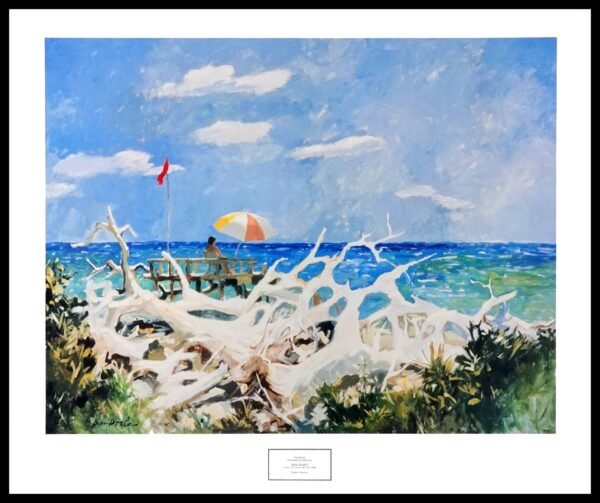 NYGS 8167 - Sea Castles